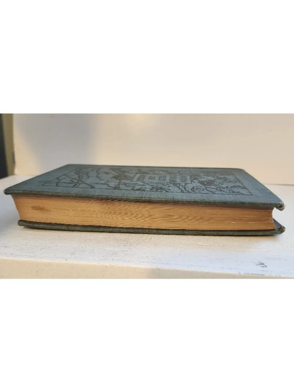1896 1st Ed. In New England Fields and Woods Rowland Robinson Antique HC